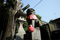 近くの神社の狛犬といけちゃん