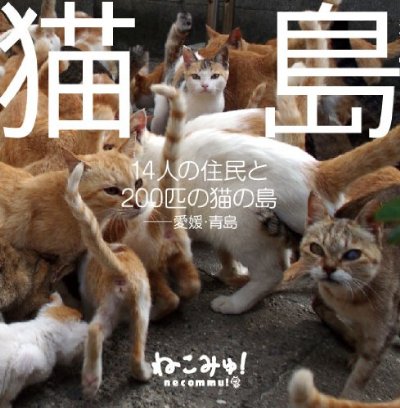 『猫島 14人の住民と200匹の猫の島　愛媛・青島』（フールズメイト）