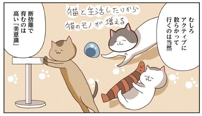 【たわし断捨離中】 楽らくマグネットボトルダストBK | カー用品のセイワ
