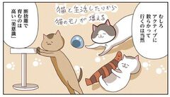 kuma san 断捨離中 kuma san 断捨離中様専用