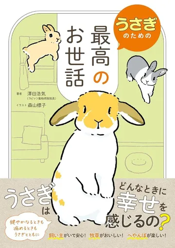 うさぎのための最高のお世話