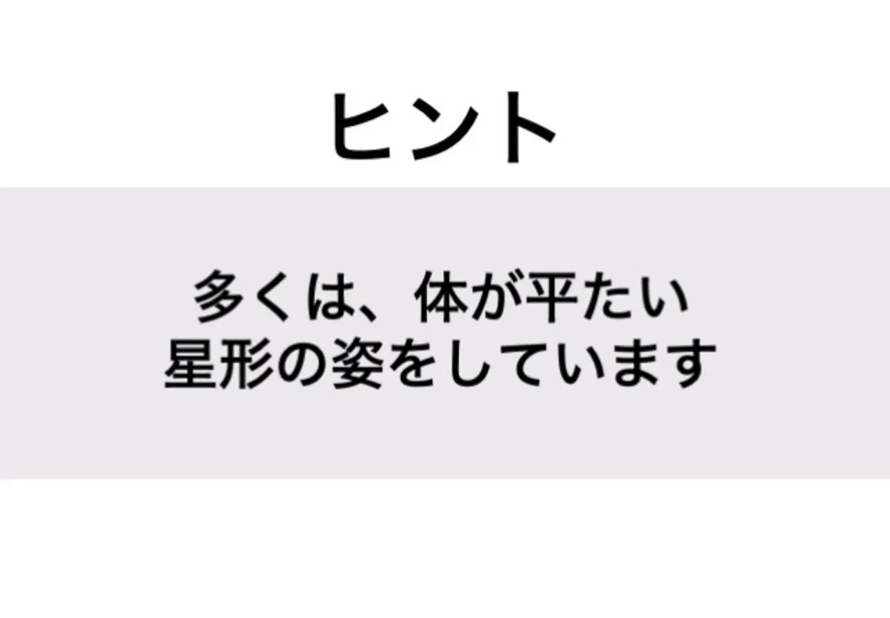 ヒトデ_ヒント