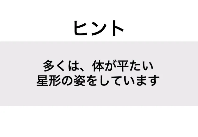 ヒトデ_ヒント