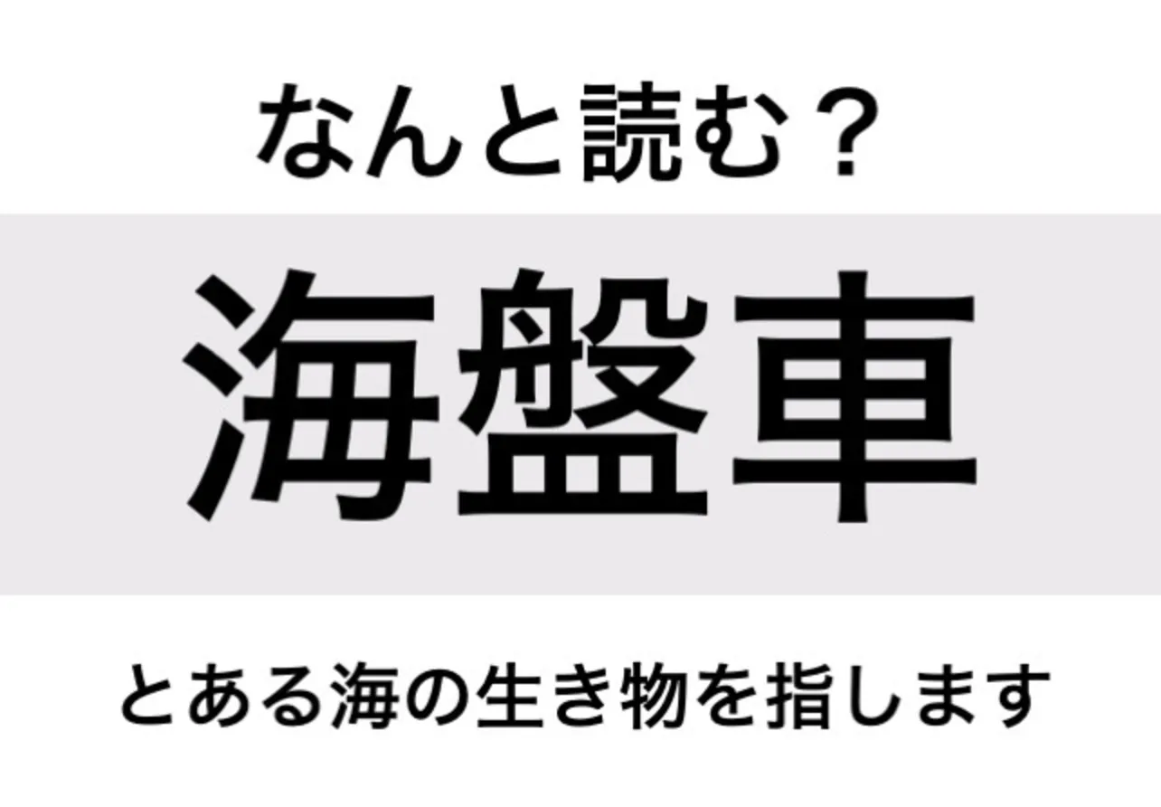 ヒトデ_問題