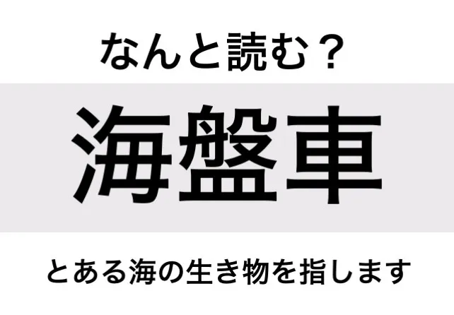 ヒトデ_問題