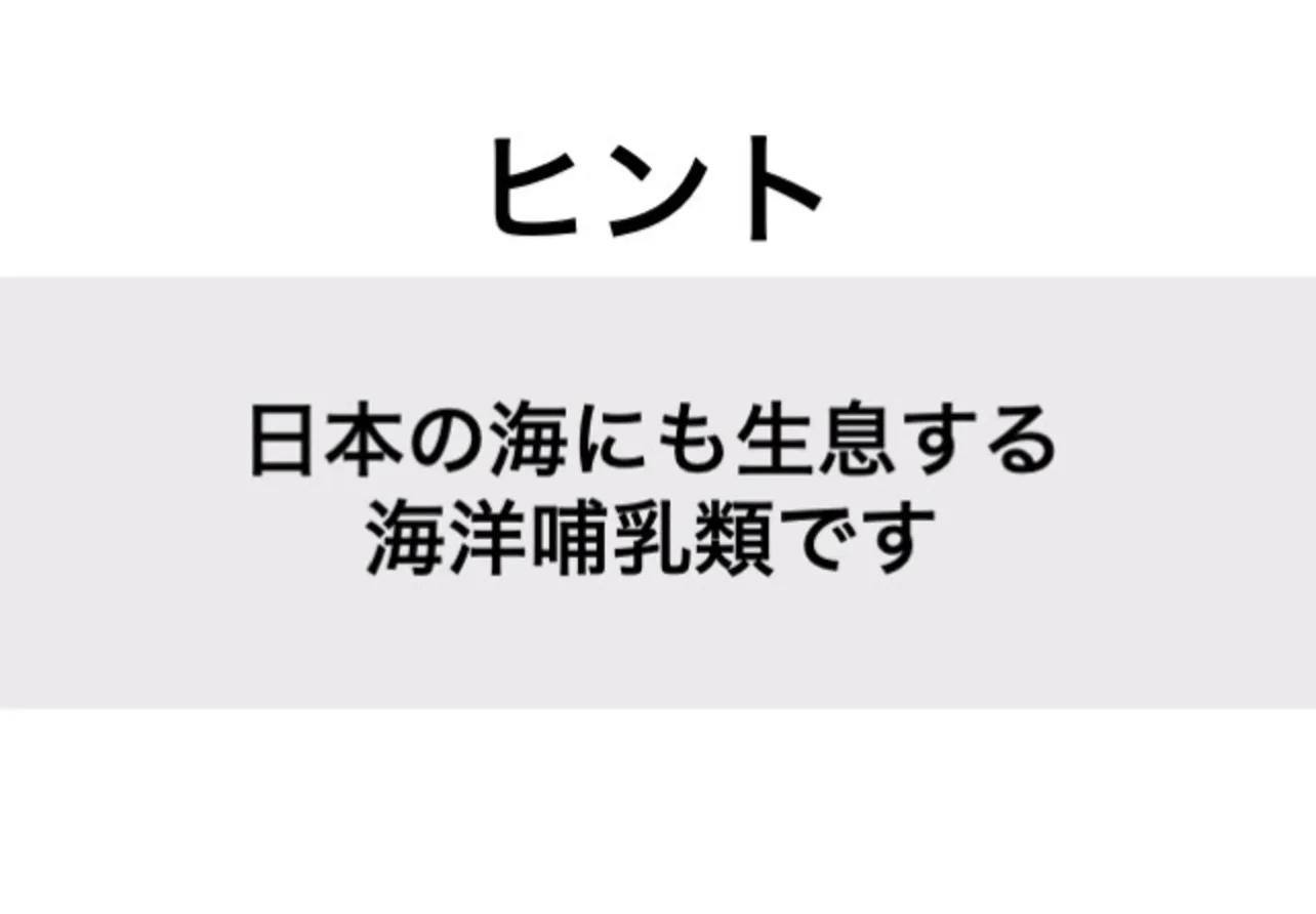 ジュゴン_ヒント