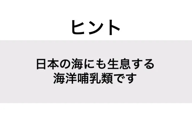 ジュゴン_ヒント