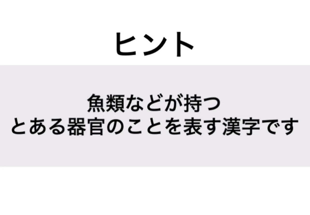 えら_ヒント