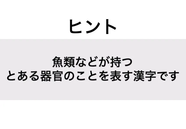 えら_ヒント