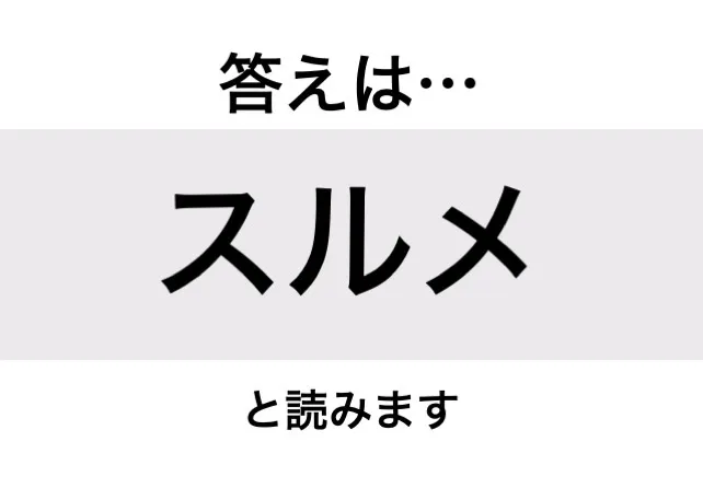 スルメ_答え