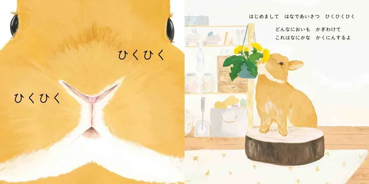 うさぎのおんがく
