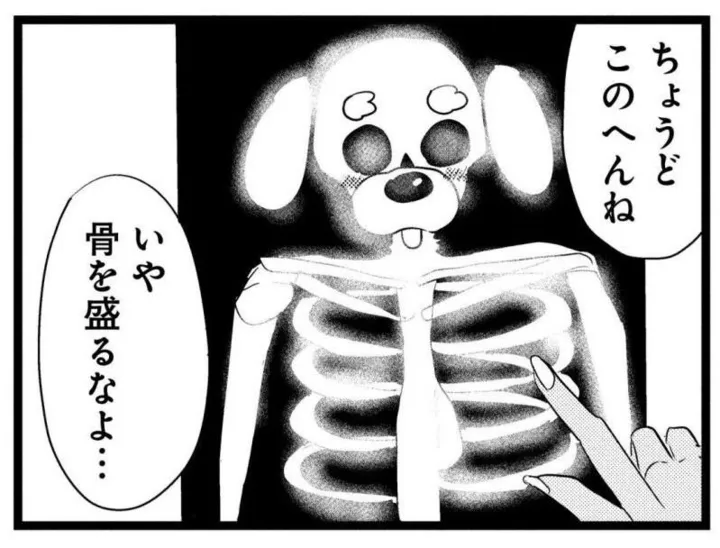 『ギャル医者あやっぺ』