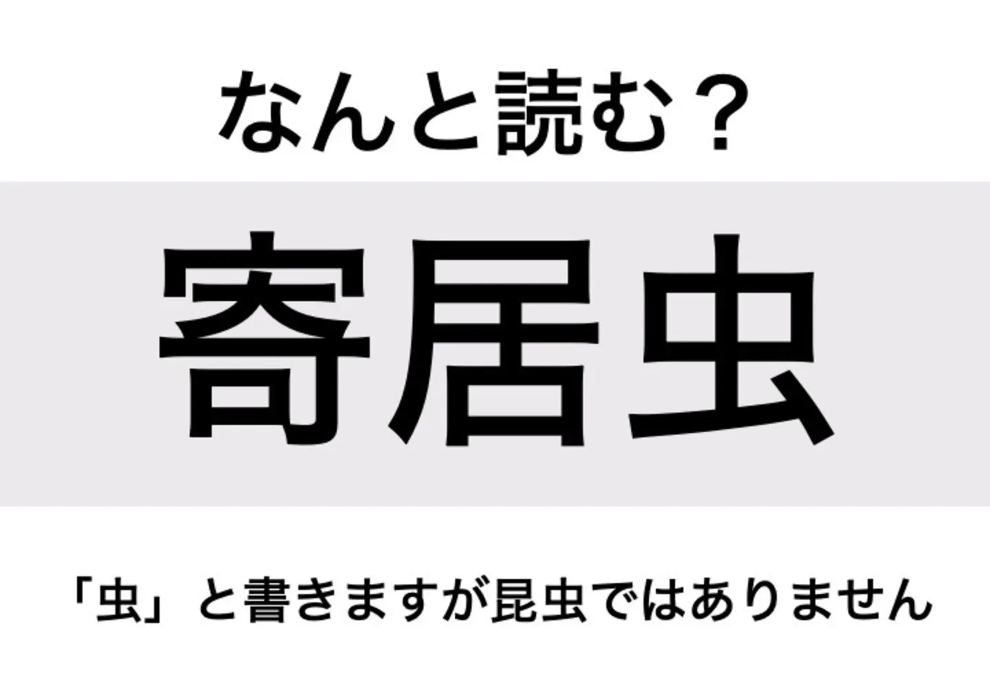 ヤドカリ_問題