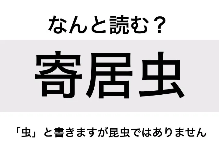 ヤドカリ_問題