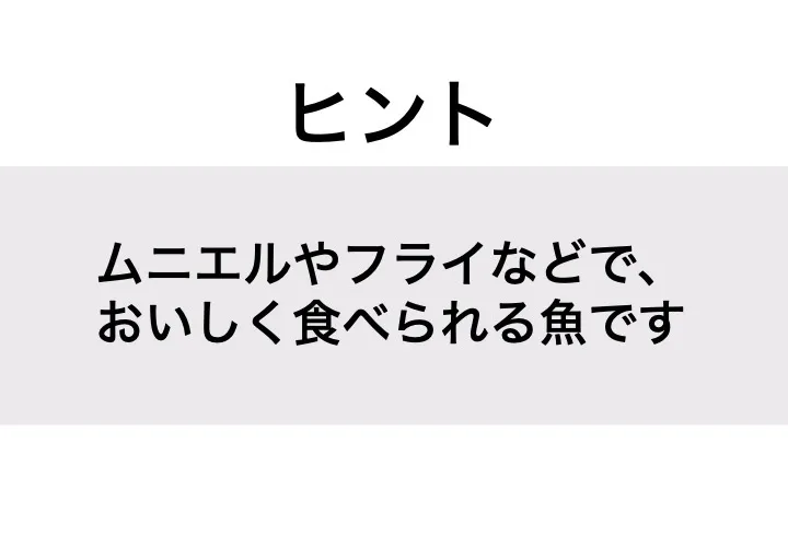 カジキ_ヒント