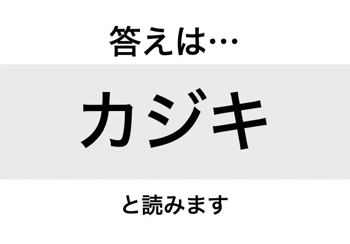 カジキ_答え