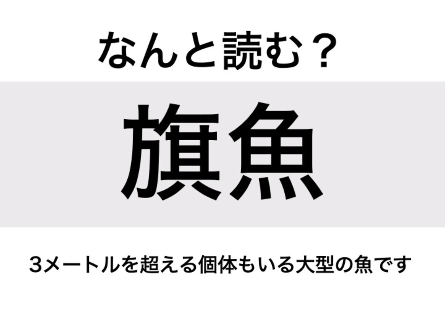 カジキ_問題