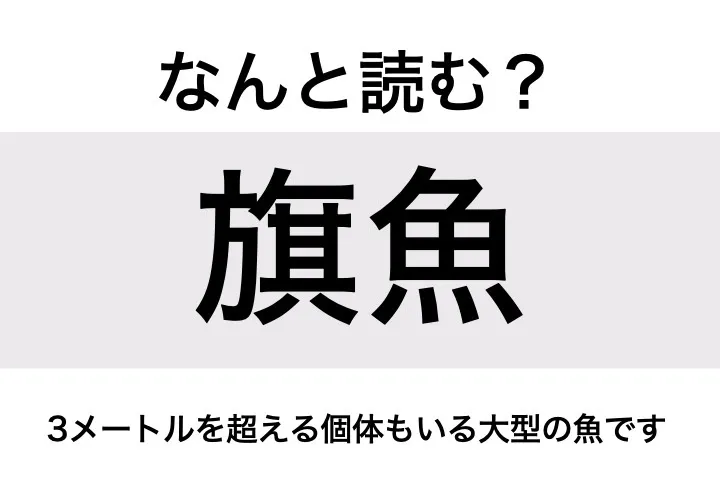 カジキ_問題