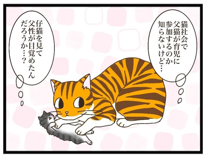 ねこねこネットワーク（NNN）にロックオンされています。 | 連載