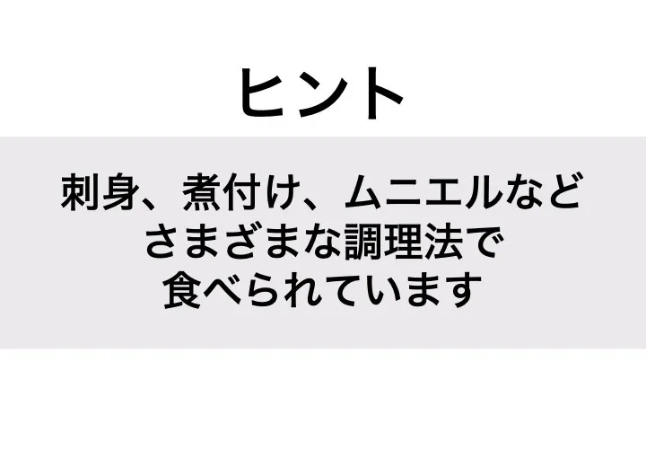 ヒラメ_ヒント