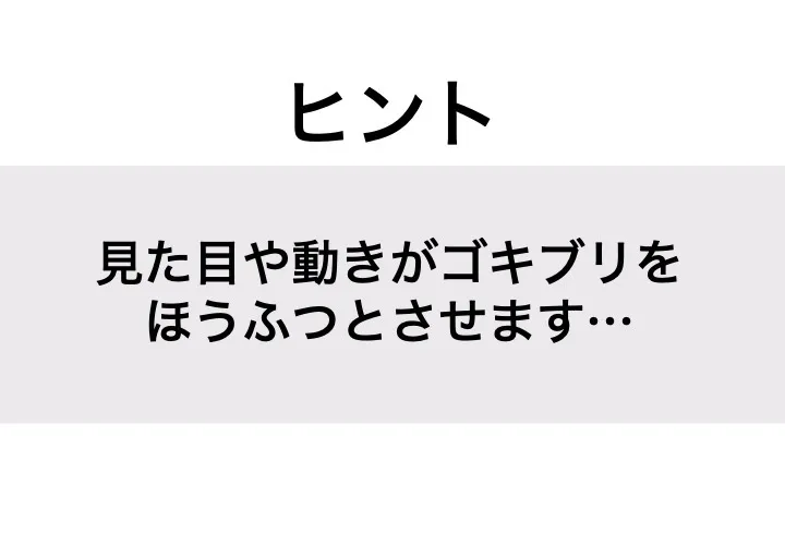 フナムシ_ヒント