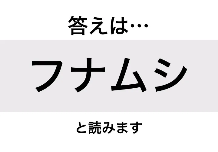 フナムシ_答え