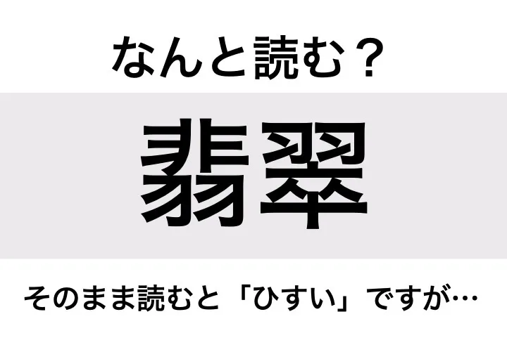 カワセミ_問題