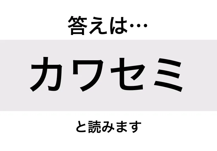 カワセミ_答え