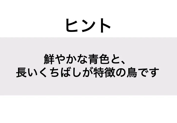 カワセミ_ヒント
