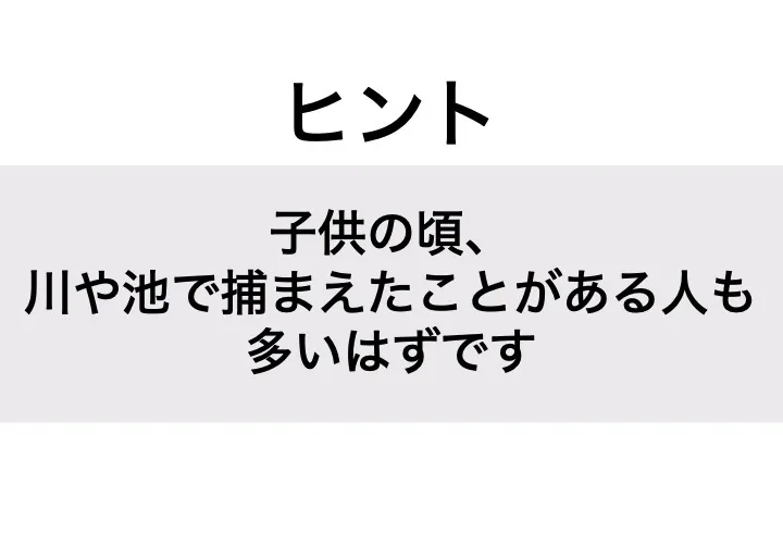ザリガニ_ヒント