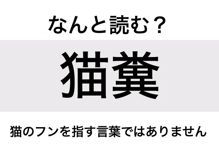 ねこばば_問題
