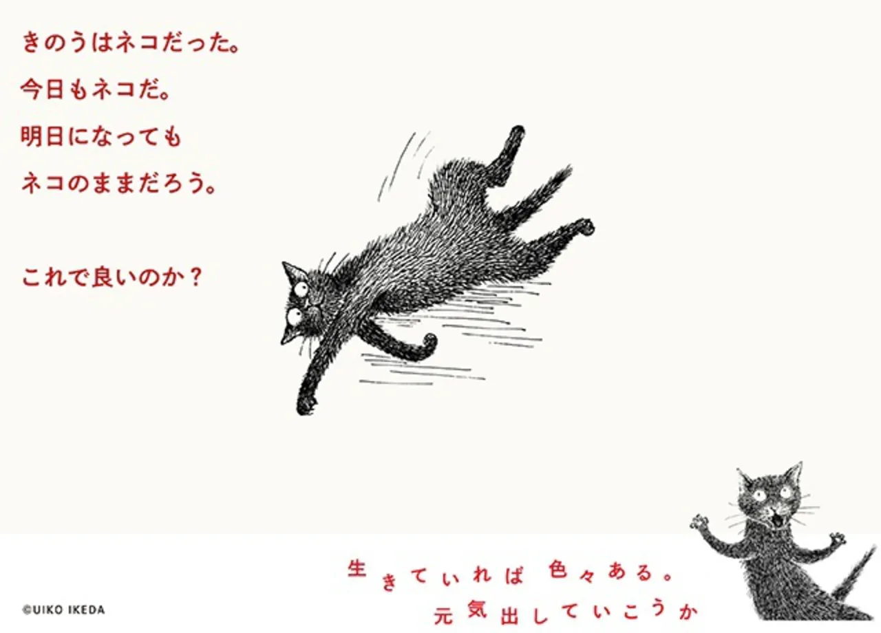 黒ネコ・ゴマのカラフルな日々を描く
