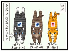 ねこねこネットワーク(NNN)にロックオンされています。 | 連載 ねこねこネットワーク(NNN)にロックオンされています。 | 連載