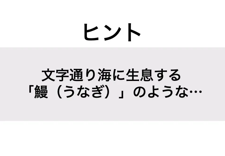 アナゴ_ヒント