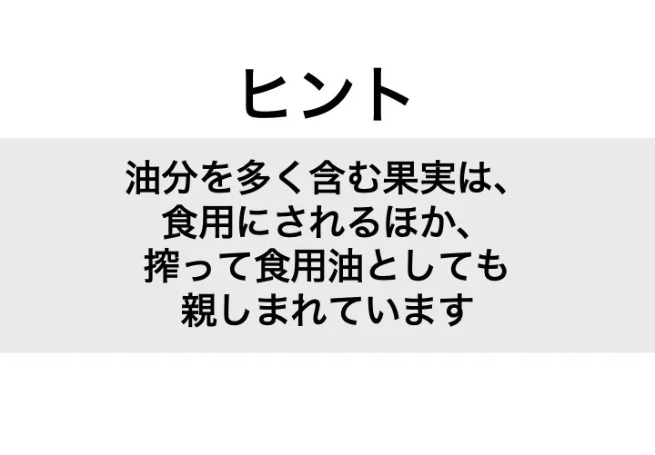 オリーブ_ヒント