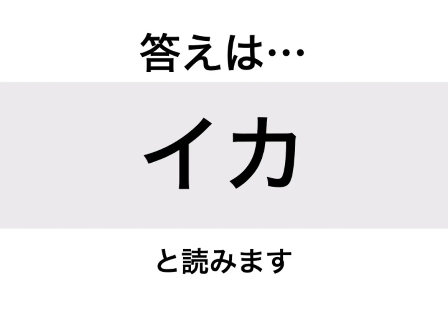 イカ_答え