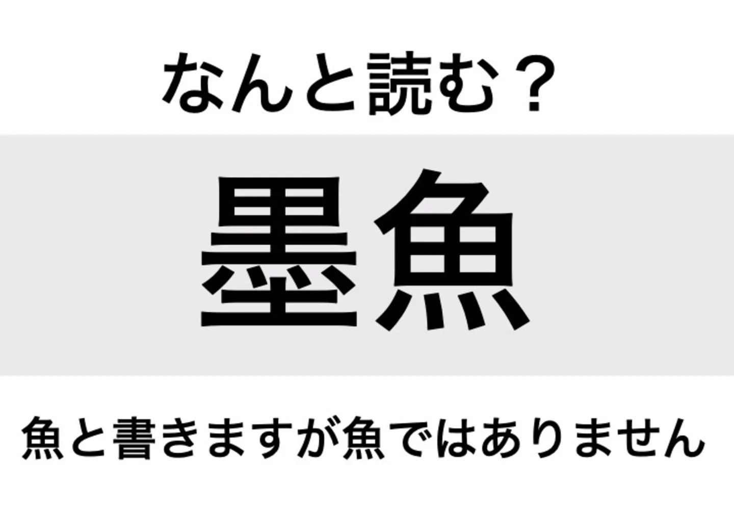 イカ_問題