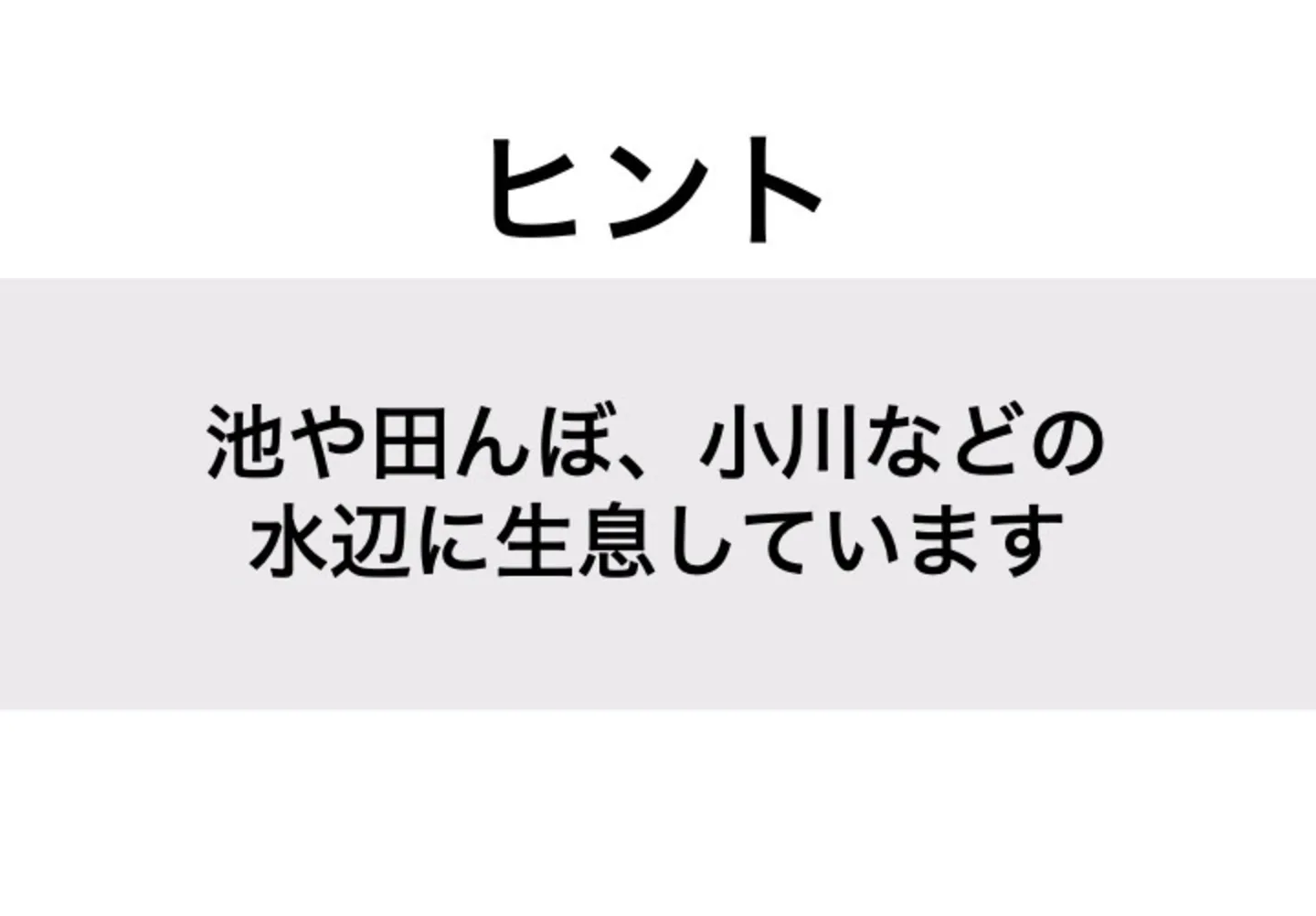 イモリ_ヒント
