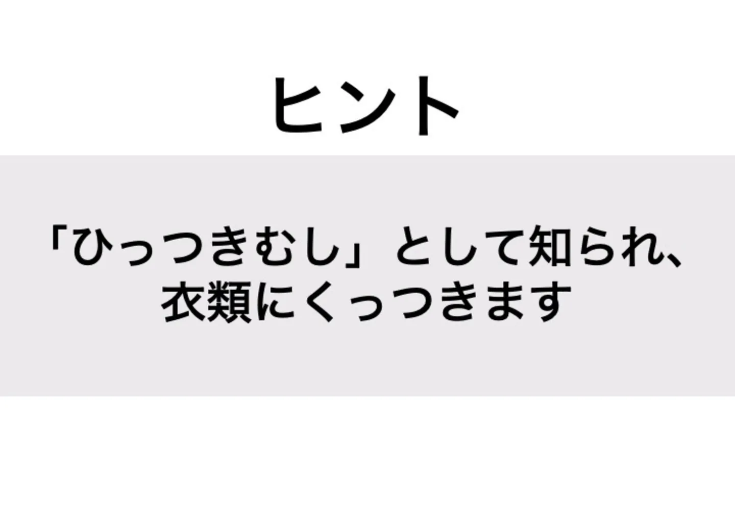 おなもみ_ヒント