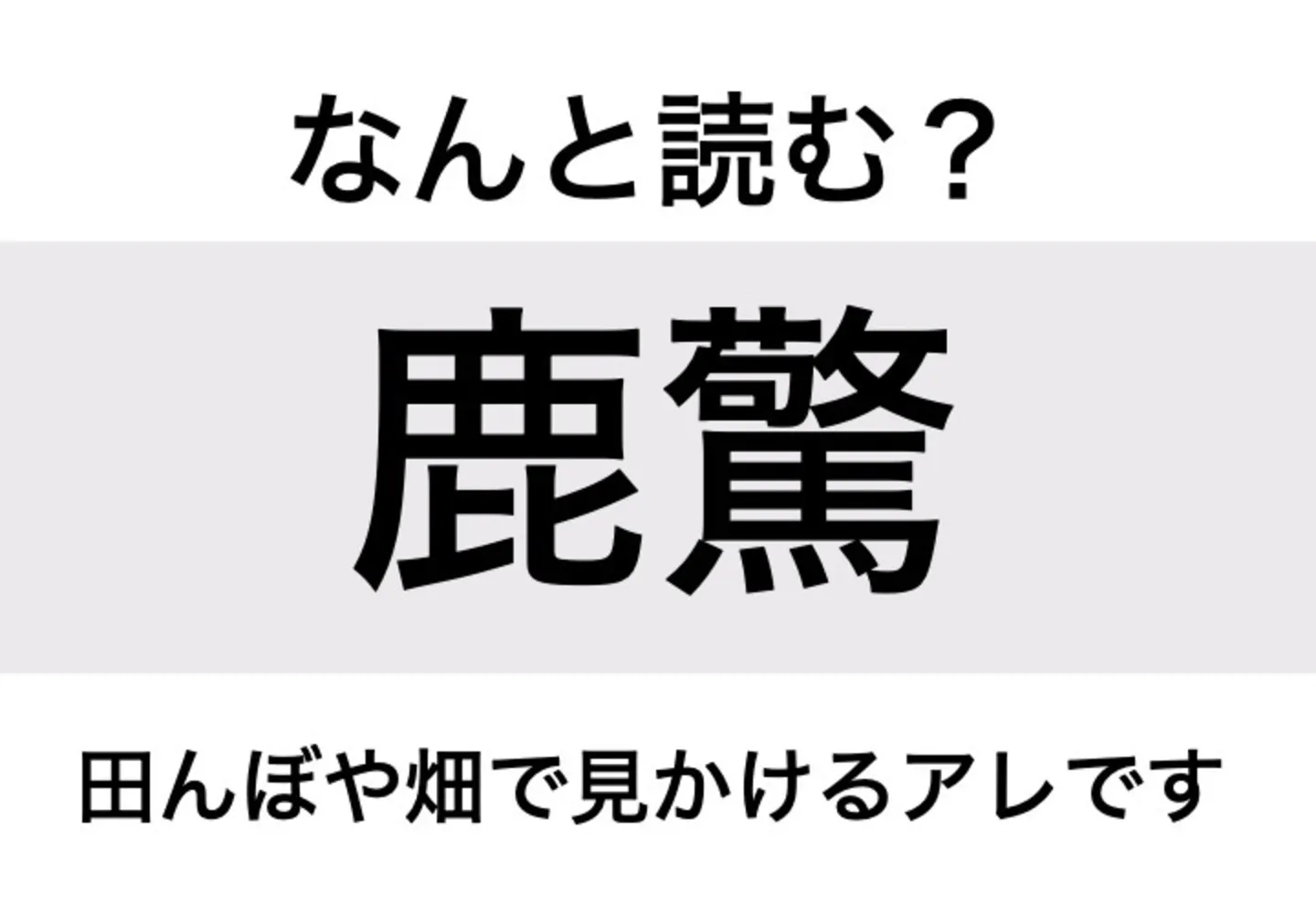かかし_問題