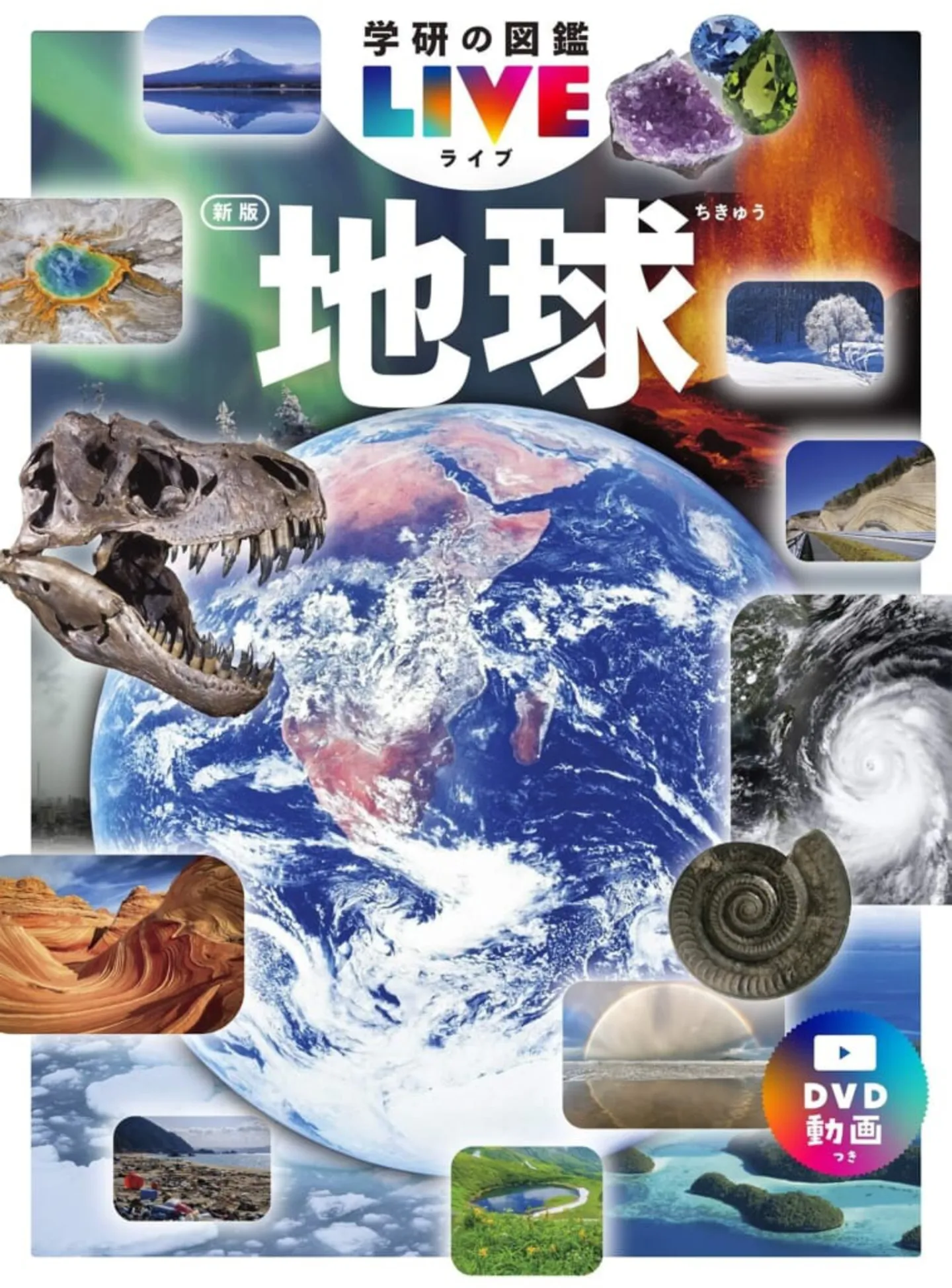 20250203132849