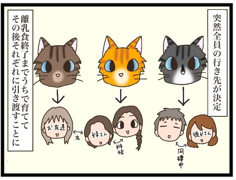 ねこねこネットワーク（NNN）にロックオンされています。 | 連載