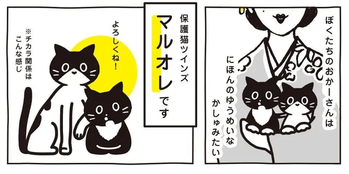 maruore2025_0