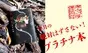 ダ・ヴィンチ編集部が選んだ「今月のプラチナ本」は、丸木文華『冷たい骨に化粧』