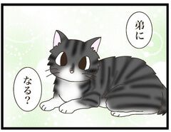 ねこねこネットワーク（NNN）にロックオンされています。 | 連載