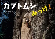 カブトムシみっけ！