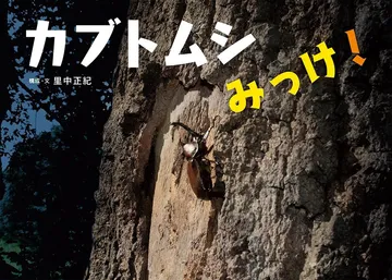カブトムシみっけ！