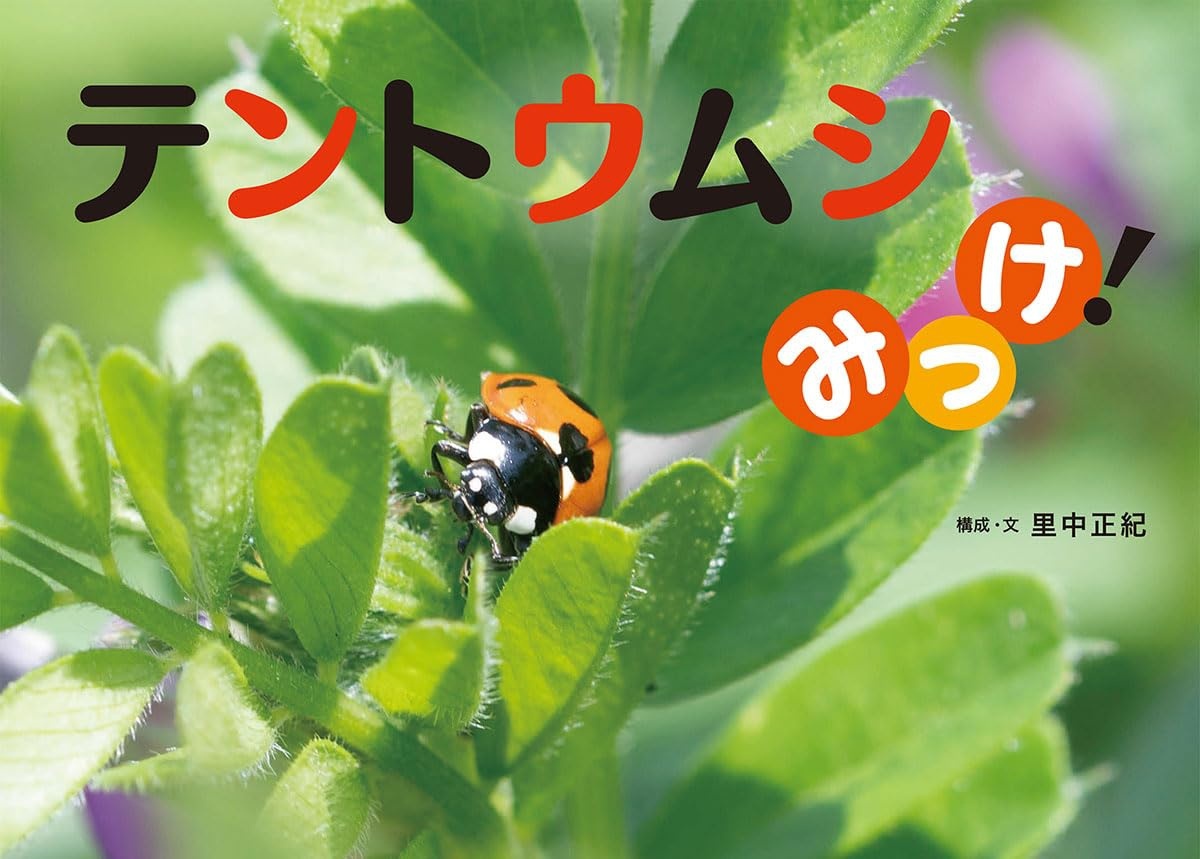 テントウムシみっけ!