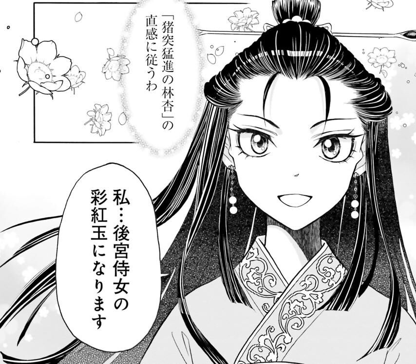 『目が覚めると百年後の後宮でした 後宮侍女紅玉』