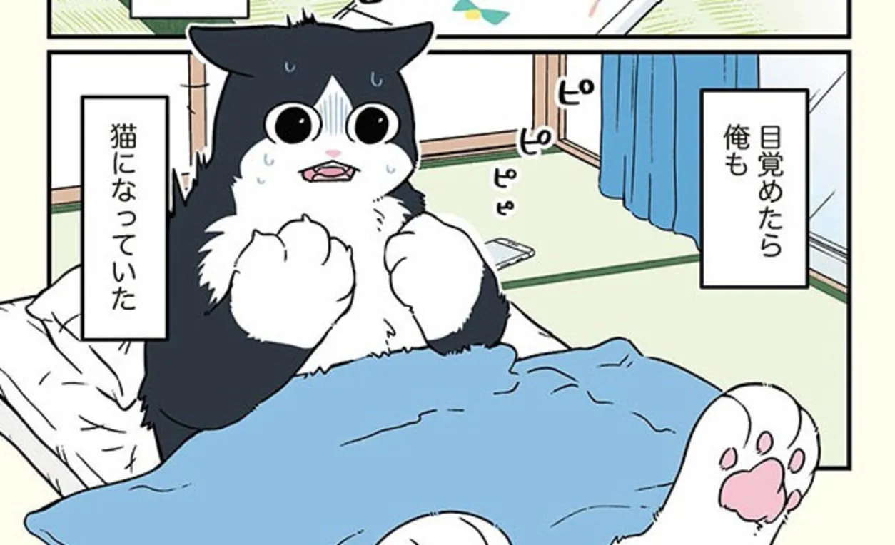 blackkigyouneko4_0